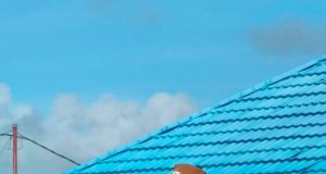 Wakil Bupati Ayub Pigome Pimpin Apel Gabungan ASN Kabupaten Deiyai