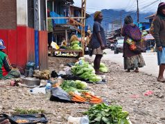 Mama-Mama Penjual Sayur di Pasar Waghete Meminta Lapak Sayur dari Nabire Harus di tutup