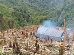 Masyarakat Sinak Dapil 3 dan 4 Apresiasi Bupati Puncak atas Bantuan Beras Raskin dan Minyak Goreng