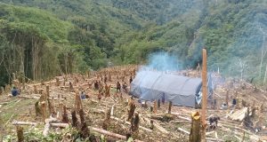 Masyarakat Sinak Dapil 3 dan 4 Apresiasi Bupati Puncak atas Bantuan Beras Raskin dan Minyak Goreng