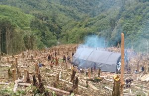 Masyarakat Sinak Dapil 3 dan 4 Apresiasi Bupati Puncak atas Bantuan Beras Raskin dan Minyak Goreng
