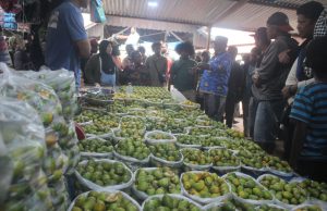 Tiga Hari Jelang Perayaan Injil Masuk ke-72, Wamena Terapkan Pembatasan Aktivitas Warga