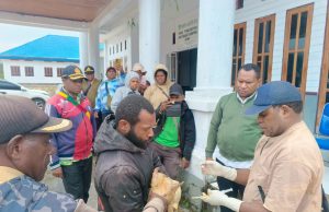 DPMK Deiyai Bagikan Ternak Babi kepada Pengurus BUMDes yang Dinilai Aktif Kembangkan Usaha