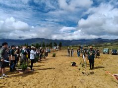 HIJAUKAN LEMBAHKU: 1.500 Pohon Ditanam di Wamena, Hardiknas 2026 Jadi Gerakan Nyata Pendidikan Lingkungan