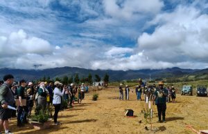 HIJAUKAN LEMBAHKU: 1.500 Pohon Ditanam di Wamena, Hardiknas 2026 Jadi Gerakan Nyata Pendidikan Lingkungan
