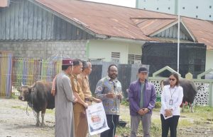 Arianto Kogoya Ajak Tetap Jaga Kerukunan Antarumat Beragama Saat Serahkan Hewan Kurban di Wamena