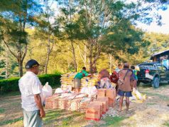 Bantuan Pangan Pemkab Lanny Jaya Dukung Semangat Kelompok Tani di Distrik Yiginua
