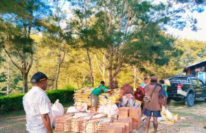 Bantuan Pangan Pemkab Lanny Jaya Dukung Semangat Kelompok Tani di Distrik Yiginua