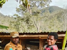 Pemkab Lanny Jaya Salurkan Bibit Kelinci untuk Warga Mokoni, Dorong Kemandirian Ekonomi Kampung