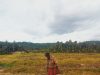 Kekeringan di Kuyawage Ancam Ketahanan Pangan, Warga Minta Pemerintah Segera Bentuk Tim Tanggap Darurat
