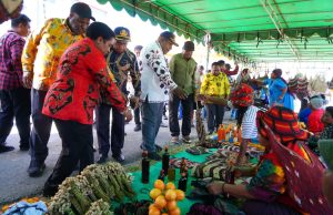 Festival UMKM Papua Pegunungan 2026: Dari Noken hingga Kopi Arabika, Produk Lokal Didorong Go Nasional