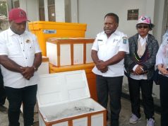 Ikan Biak Tiba di Wamena, Langkah Baru Bangun Ekonomi Papua Pegunungan Lewat Koperasi Antarwilayah