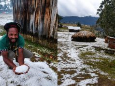 Koalisi Penegak Hukum dan HAM Papua Desak Presiden Hentikan PSN Pembongkaran Hutan Adat Papua