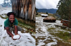 Koalisi Penegak Hukum dan HAM Papua Desak Presiden Hentikan PSN Pembongkaran Hutan Adat Papua