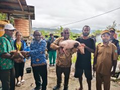 Pemkab Deiyai Ubah Mekanisme Penyaluran Bantuan Ternak Babi, Bupati: Dari Masyarakat untuk Masyarakat Bupati Kabupaten Deiyai Melkianus Mote Saat Menyerahkan Bantuan Babi kepada warga di Deiyai, Kamis, (06/08/2026) - Doc. Tiiruu.com