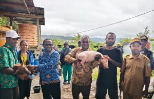 Pemkab Deiyai Ubah Mekanisme Penyaluran Bantuan Ternak Babi, Bupati: Dari Masyarakat untuk Masyarakat Bupati Kabupaten Deiyai Melkianus Mote Saat Menyerahkan Bantuan Babi kepada warga di Deiyai, Kamis, (06/08/2026) - Doc. Tiiruu.com