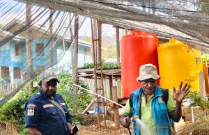 Krisis Air Hambat Pertanian, Kelompok Tani Onago Desak Pemerintah Bangun Sumur Bor Ketua Kelompok Tani Kampung Onago, Distrik Tigi Barat, Kabupaten Deiyai, Yesaya Giyai, menunjukkan lokasi usaha pertanian dan pembibitan yang dikelola kelompoknya. Ia berharap pemerintah membangun sumur bor untuk memenuhi kebutuhan air bagi pengembangan pertanian, peternakan, perikanan, dan pembibitan tanaman - Doc, AMY
