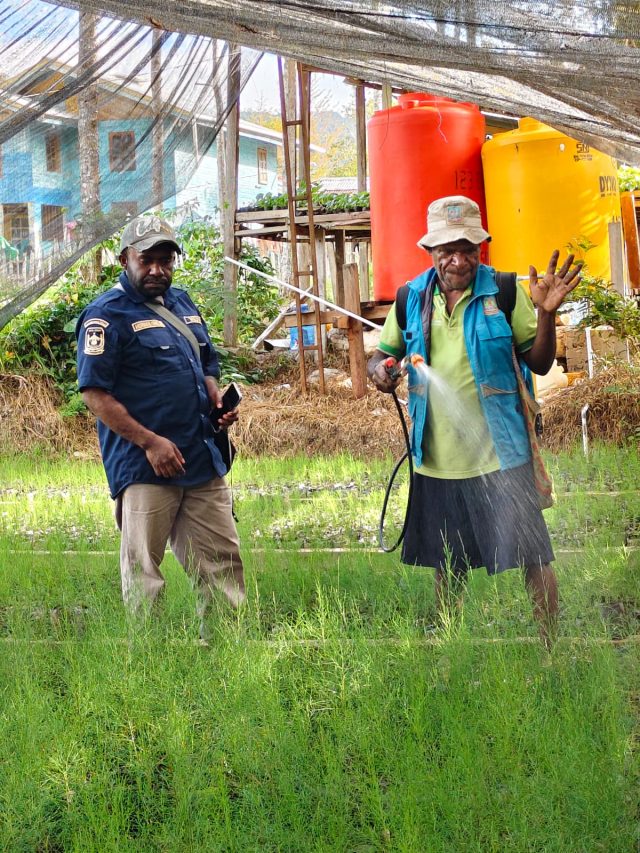 Ketua Kelompok Tani Kampung Onago, Distrik Tigi Barat, Kabupaten Deiyai, Yesaya Giyai, menunjukkan lokasi usaha pertanian dan pembibitan yang dikelola kelompoknya. Ia berharap pemerintah membangun sumur bor untuk memenuhi kebutuhan air bagi pengembangan pertanian, peternakan, perikanan, dan pembibitan tanaman - Doc, AMY