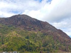 17 Komunitas Bersatu Bersihkan Sampah di Danau Paniai, Serukan Gerakan Jaga Alam