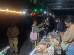 Musik, Hiburan dan UMKM Bersatu di Launching Seniman Musisi Papua Pegunungan, Warga Wamena Nikmati Dampak Positif Pemerintah Di Minta Pekah Soal ini?