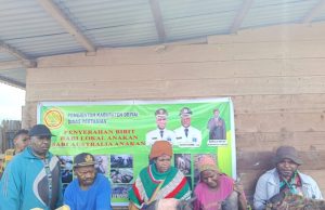 Dinas Pertanian Lanjutkan Penyaluran 300 Ekor Babi, Pemkab Deiyai Dorong Pengembangan Peternakan Pemerintah Kabupaten Deiyai melalui Dinas Pertanian kembali melanjutkan penyaluran bantuan ternak babi kepada masyarakat. Dalam penyaluran lanjutan kali ini, sebanyak 300 ekor babi - Doc. tiiruu.com