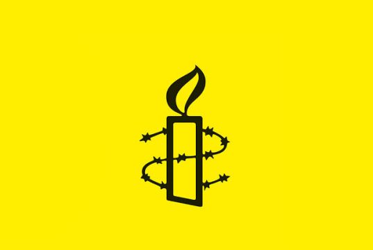 Pansus DPD RI Didesak Dorong Perundingan Damai untuk Selesaikan Konflik Papua Logo Amnesty Internasional - IST