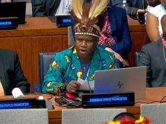 Jhon Anari Soroti Perjanjian Roma 1962 dan Status Politik West Papua dalam Sistem Perwalian PBB