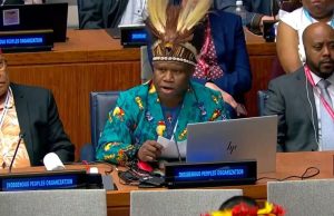 Jhon Anari Soroti Perjanjian Roma 1962 dan Status Politik West Papua dalam Sistem Perwalian PBB