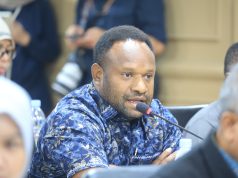 Senator Nelson Wenda Desak Presiden Turun Tangan, Asap Karhutla Ganggu Penerbangan Dan Kesehatan Masyarakat Papua