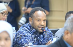 Senator Nelson Wenda Desak Presiden Turun Tangan, Asap Karhutla Ganggu Penerbangan Dan Kesehatan Masyarakat Papua